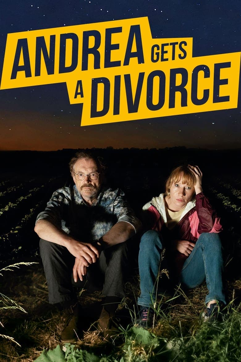 Andrea Gets a Divorce poster